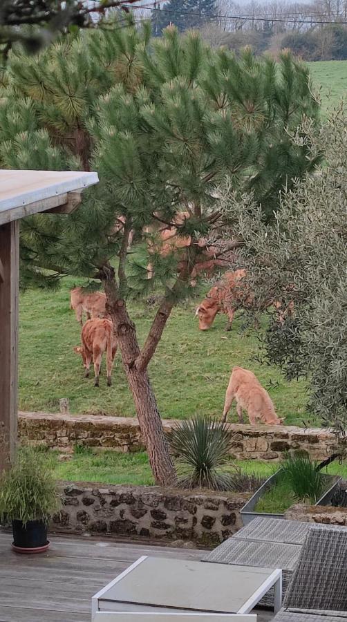 Gite A La Campagne Saint-Brice-sur-Vienne Dış mekan fotoğraf